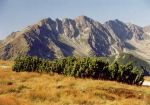 Zpadn Tatry - ROHE-hrebe dlh 37 km, 26 vrcholov nad 2000 m n.m.,20 plies,8 vodopdov ( 23 m vysok Rohsky vodopd). Bohat rastlinn spoloenstv, krasov javy - jaskyne ( Brestov, Zadn plaz )